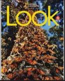 LOOK 1 SB + SPARK STICKER