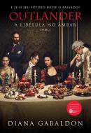 OUTLANDER - LIVRO 2 - A LIBELULA NO AMBAR