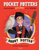 POCKET POTTERS - HARRY POTTER
